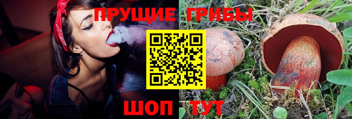 Псилоцибиновые грибы Psilocybe  Галлюциногенные грибы прущие грибы  что такое   Вход с VPN  Ангарск 